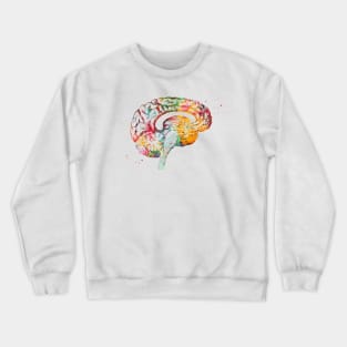 Brain anatomy Crewneck Sweatshirt